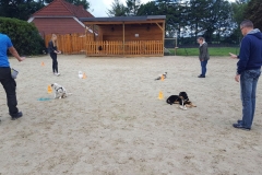 IMG-20180401-WA0065