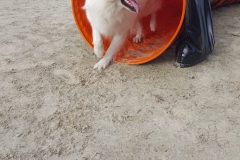 IMG-20180629-WA0007