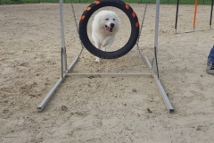 IMG-20180717-WA0008