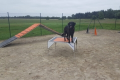 IMG-20180717-WA0013