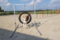 IMG-20180717-WA0017
