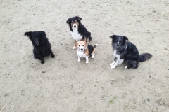 IMG-20190330-WA0002