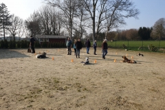 IMG-20190402-WA0003