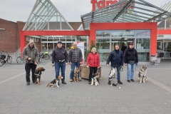 IMG-20190222-WA0009
