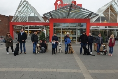 IMG-20190222-WA0030