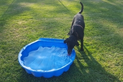 IMG-20180724-WA0024