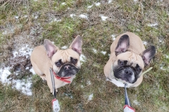 IMG-20190124-WA0009