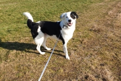 IMG-20190217-WA0003