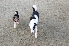 IMG-20190217-WA0009