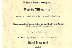 2015.07.11 Körpersprachliche Kommunikation